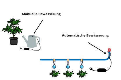 WEEDYTECH-Spule